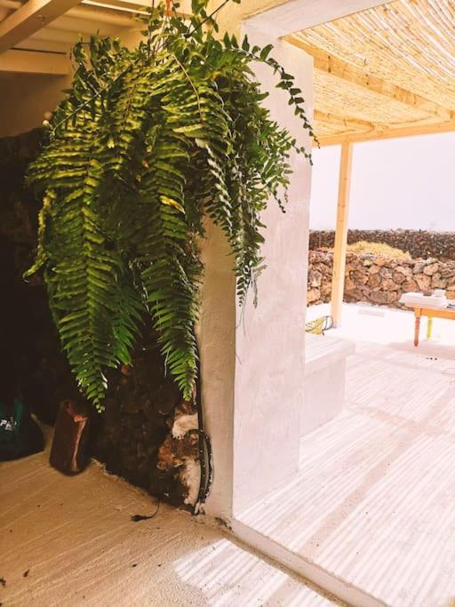 Estudio Con Bano Privado Orzola Exterior photo